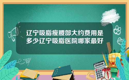 辽宁吸脂瘦腰部大约费用是多少辽宁吸脂医院哪家最好