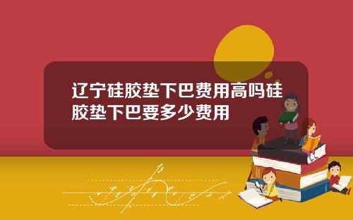 辽宁硅胶垫下巴费用高吗硅胶垫下巴要多少费用