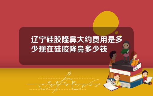 辽宁硅胶隆鼻大约费用是多少现在硅胶隆鼻多少钱