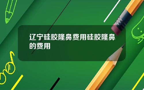 辽宁硅胶隆鼻费用硅胶隆鼻的费用