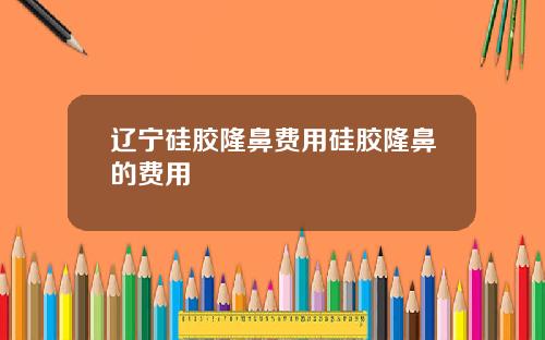 辽宁硅胶隆鼻费用硅胶隆鼻的费用