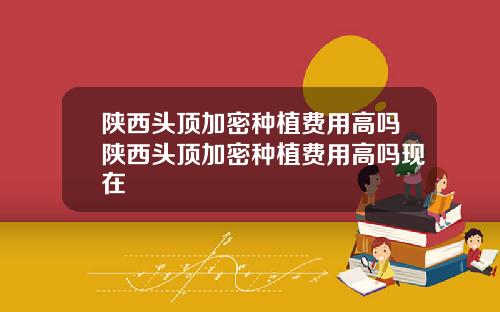 陕西头顶加密种植费用高吗陕西头顶加密种植费用高吗现在
