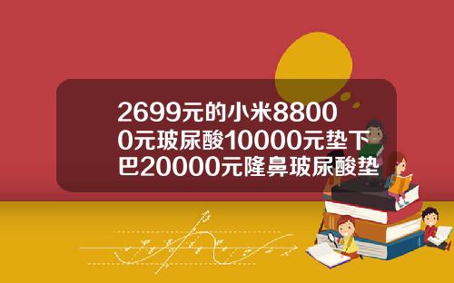 2699元的小米88000元玻尿酸10000元垫下巴20000元隆鼻玻尿酸垫下巴多少钱一针啊