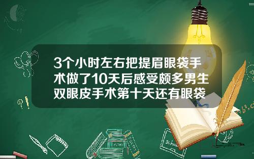 3个小时左右把提眉眼袋手术做了10天后感受颇多男生双眼皮手术第十天还有眼袋