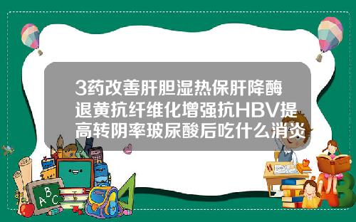 3药改善肝胆湿热保肝降酶退黄抗纤维化增强抗HBV提高转阴率玻尿酸后吃什么消炎药和活血化瘀的