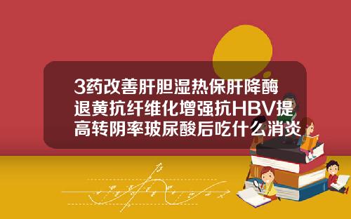 3药改善肝胆湿热保肝降酶退黄抗纤维化增强抗HBV提高转阴率玻尿酸后吃什么消炎药和活血化瘀的
