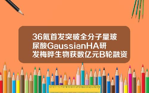 36氪首发突破全分子量玻尿酸GaussianHA研发梅晔生物获数亿元B轮融资玻尿酸的专利是哪家公司