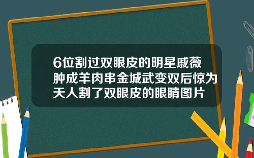 6位割过双眼皮的明星戚薇肿成羊肉串金城武变双后惊为天人割了双眼皮的眼睛图片