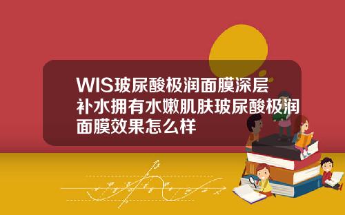 WIS玻尿酸极润面膜深层补水拥有水嫩肌肤玻尿酸极润面膜效果怎么样