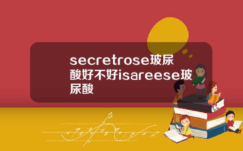 secretrose玻尿酸好不好isareese玻尿酸