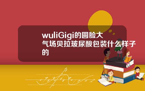 wuliGigi的圆脸大气场贝拉玻尿酸包装什么样子的