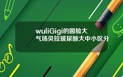 wuliGigi的圆脸大气场贝拉玻尿酸大中小区分