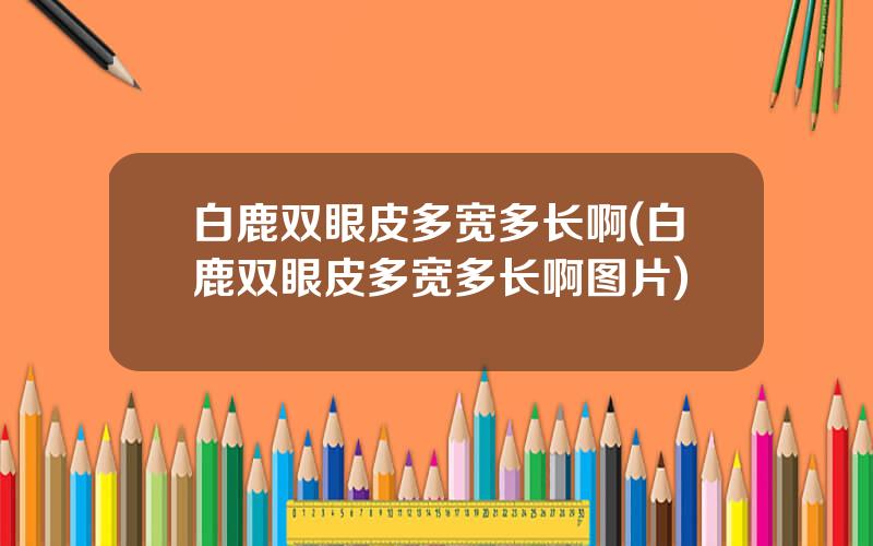 白鹿双眼皮多宽多长啊(白鹿双眼皮多宽多长啊图片)