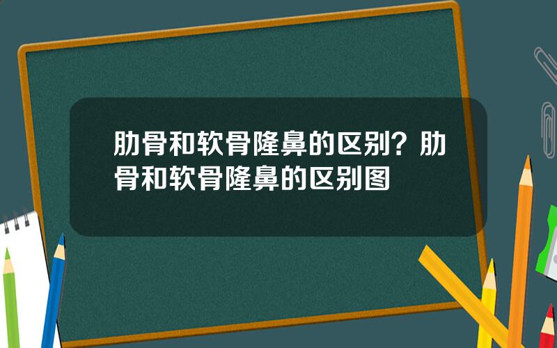 肋骨和软骨隆鼻的区别？肋骨和软骨隆鼻的区别图